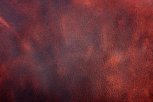 Close-up of the natural grain of genuine leather